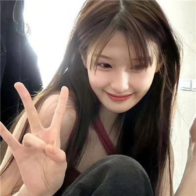 犬之力